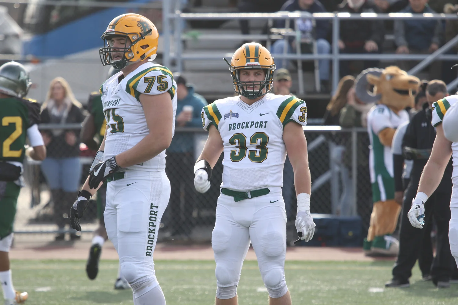 LB looking to the sidelines for signals