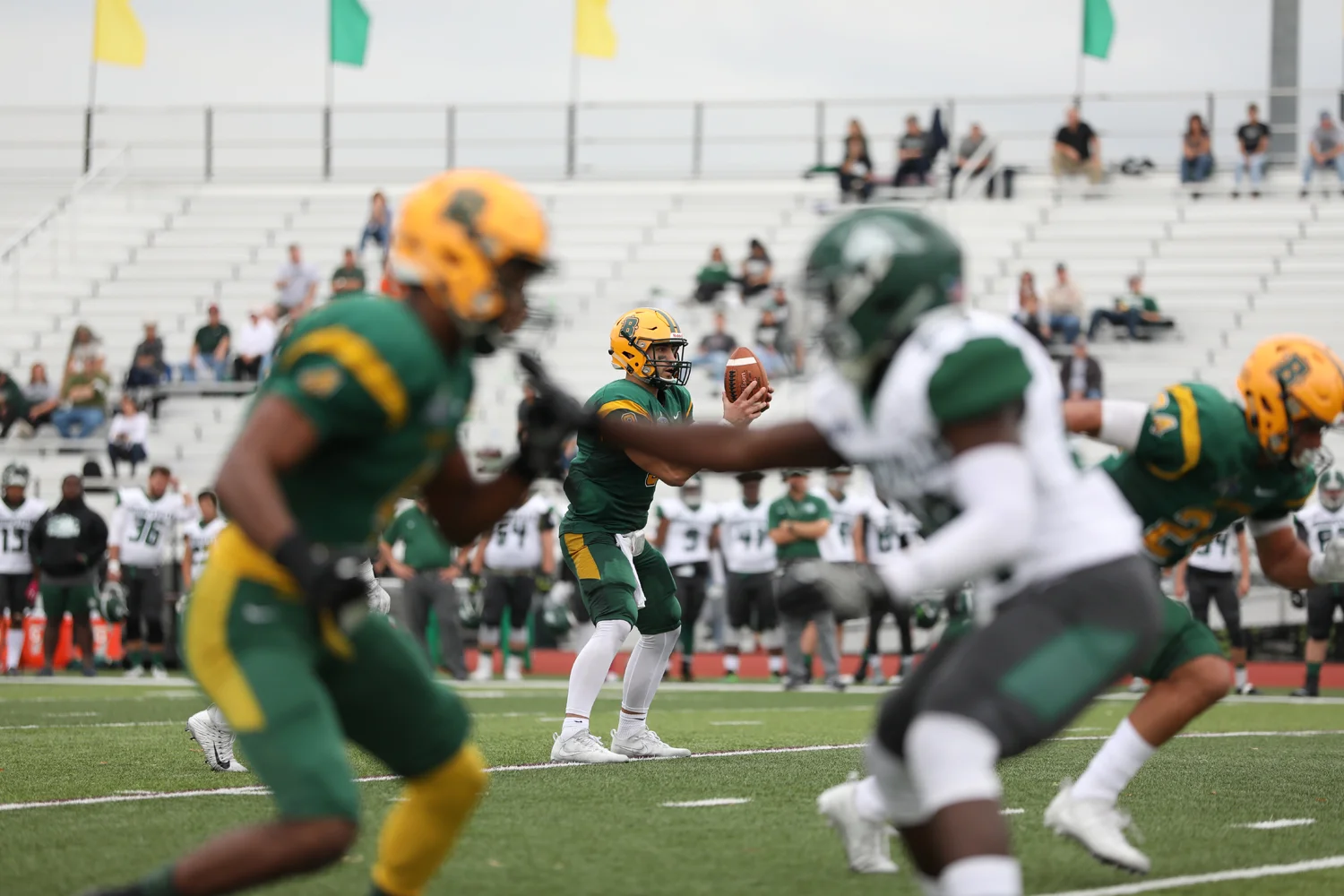 QB getting the snap and looking down field