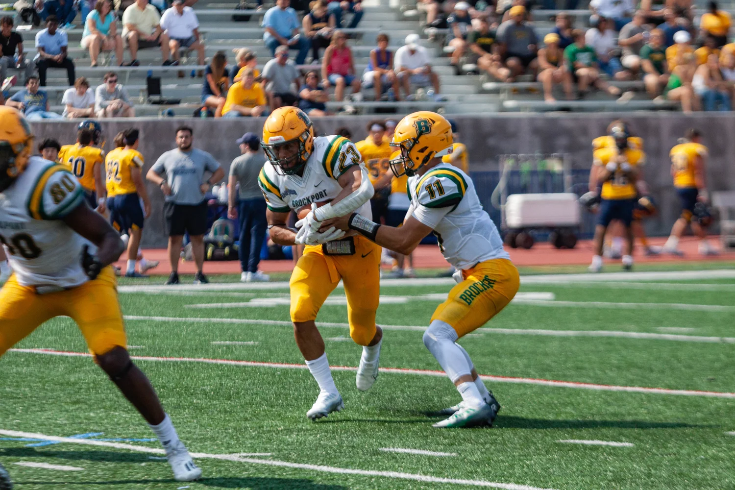QB handing the ball off to the RB