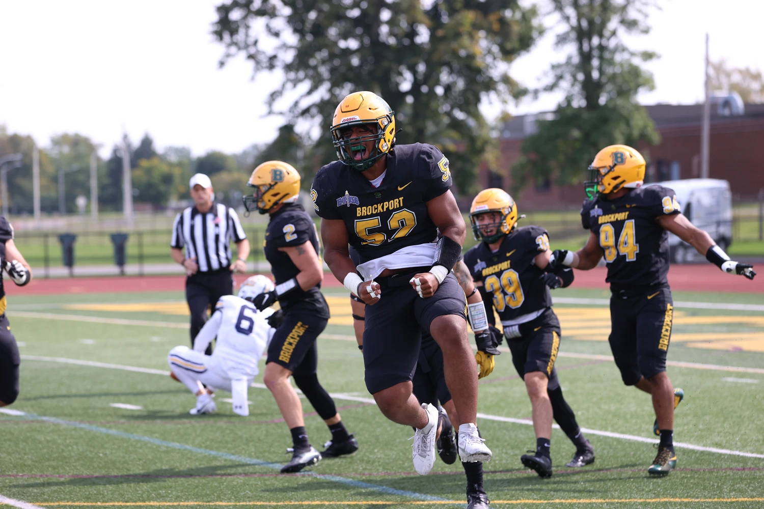 LB jumping for job after the sack