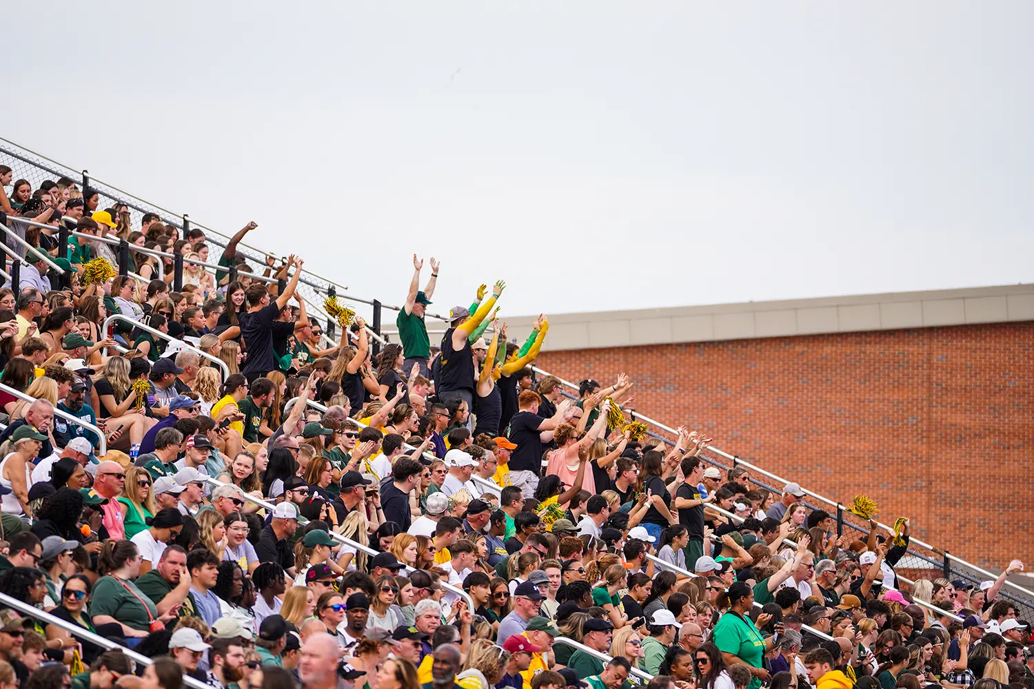 Fans celebrating in the stands