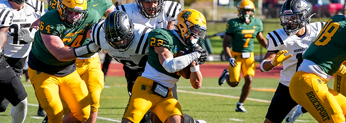 Brockport Seniors and Families