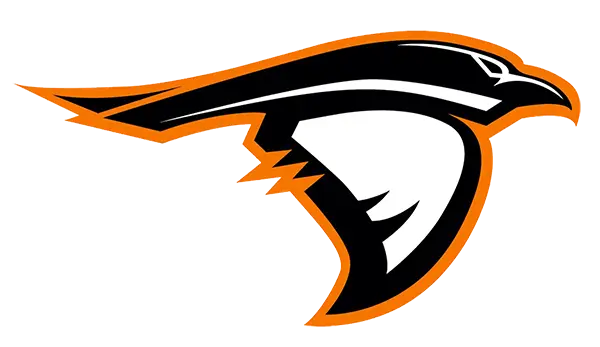 Anderson Ravens Football