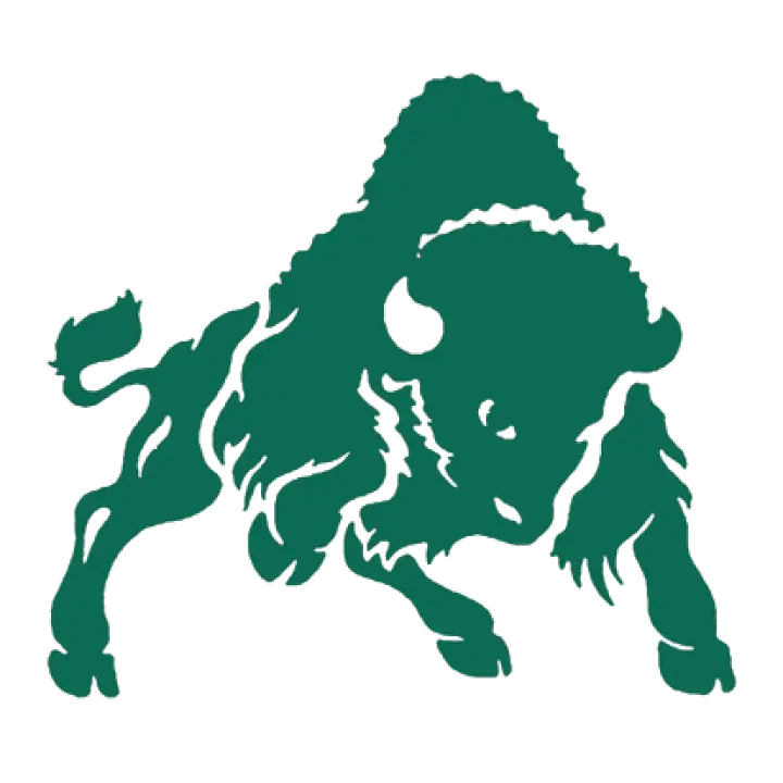 Bethany Bison Football