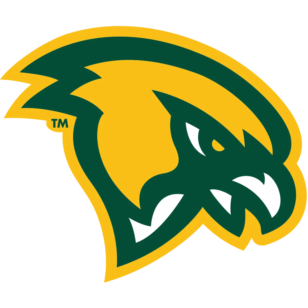 Fitchburg State Falcons Football
