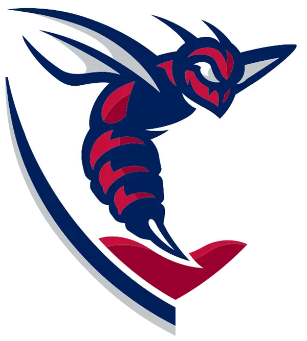 Shenandoah Hornets Football