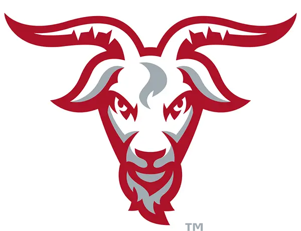 WPI Engineers Football